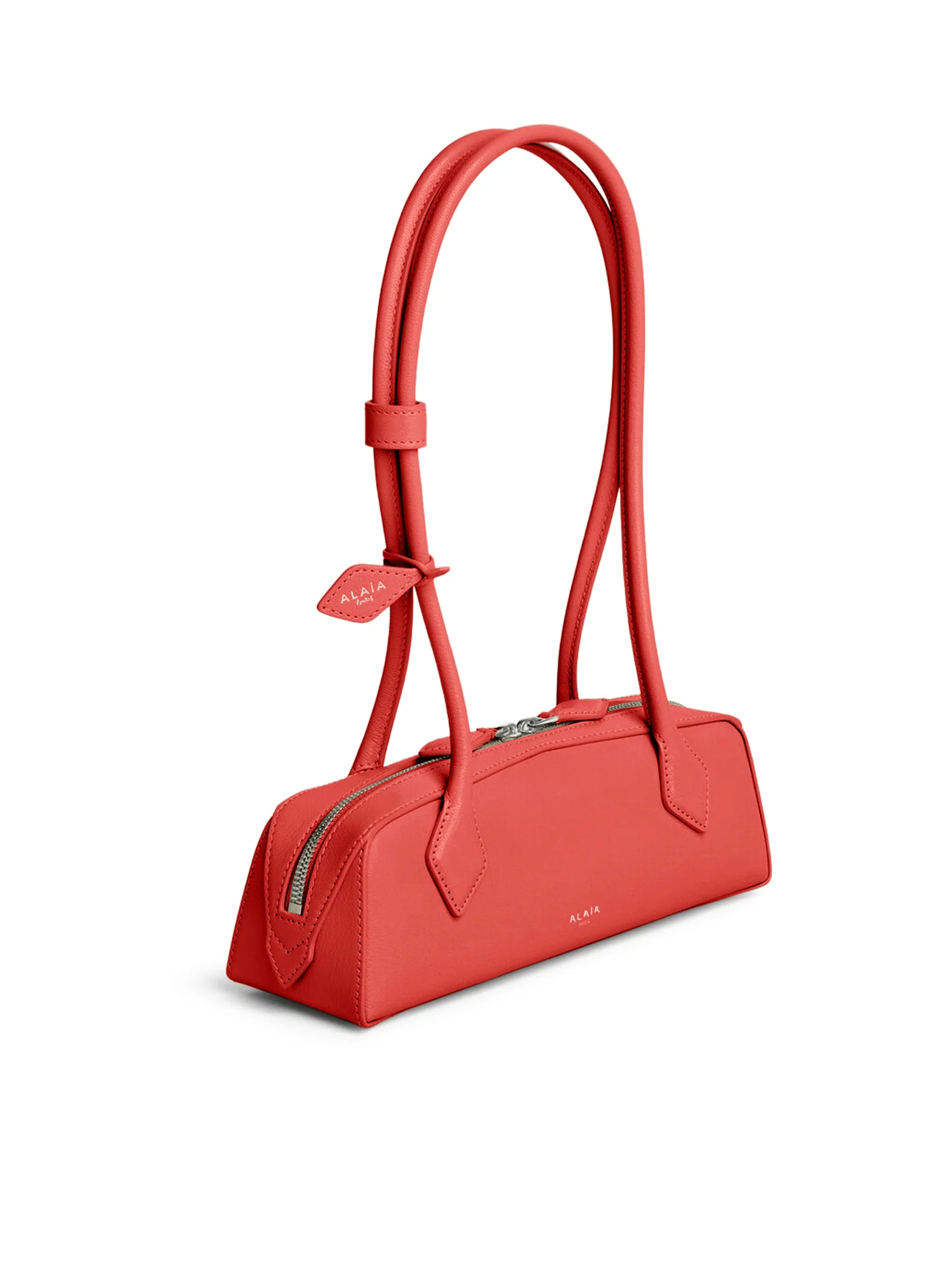 LE TECKEL SMALL IN GOATSKIN - Image 3