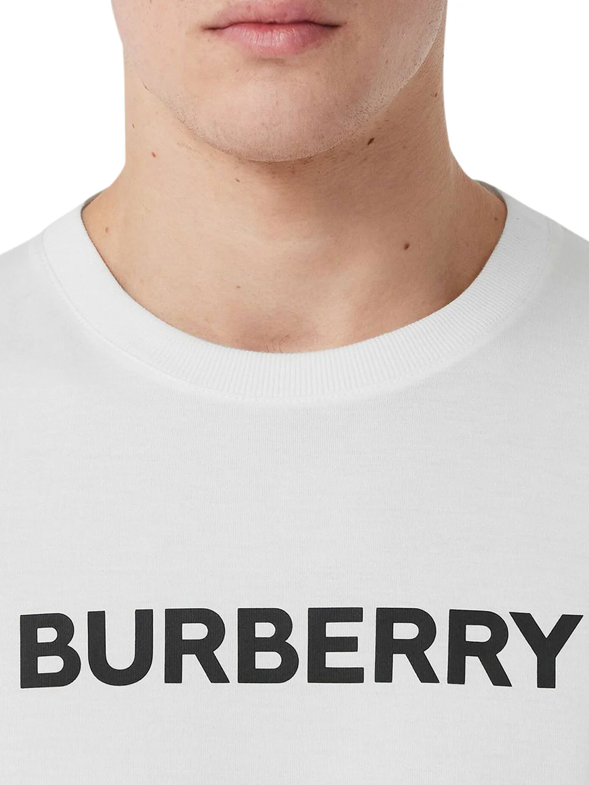 HARRISTON COTTON T-SHIRT - Image 5