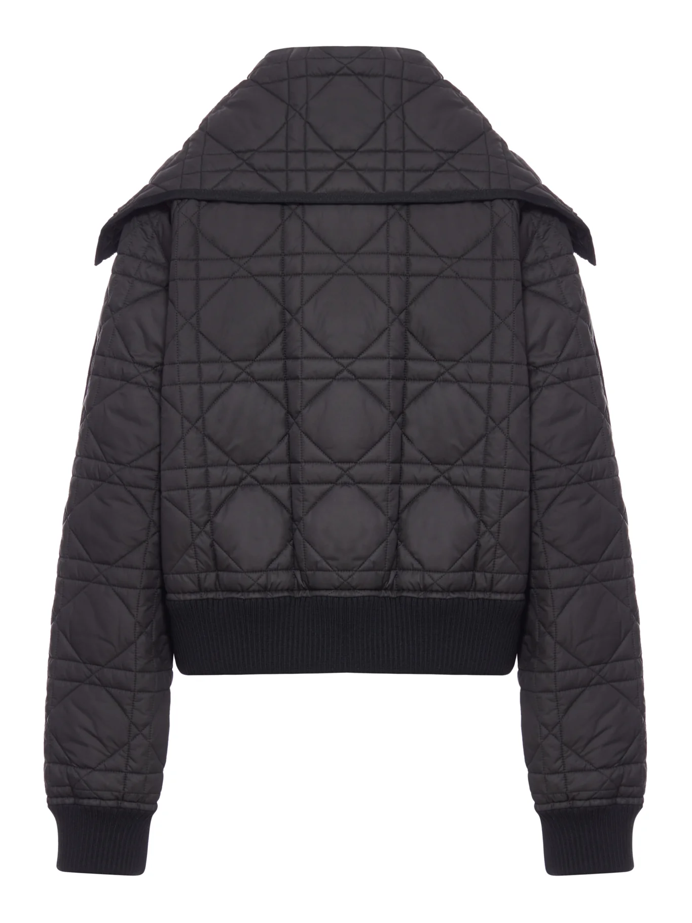 QUILTED DOWN JACKET IN TECHNICAL FABRIC - Image 2